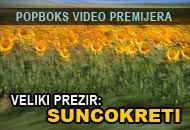 Veliki prezir: Suncokreti