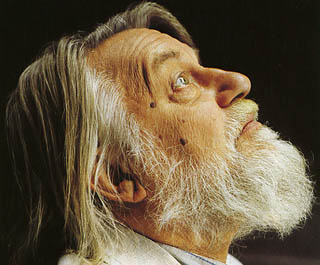 ROBERT WYATT - Comicopera