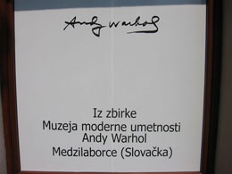 ANDY WARHOL U NOVOM SADU