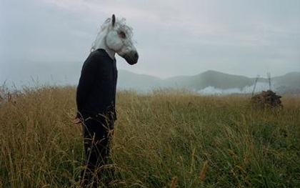 SPARKLEHORSE