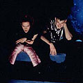Disco Pigs