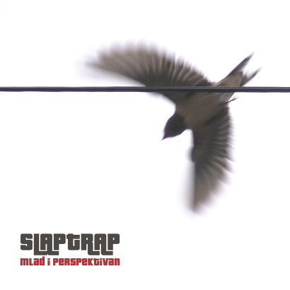 SLAPTRAP - Mlad i perspektivan